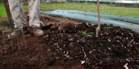 Hemijska i mineralna đubriva za kruške